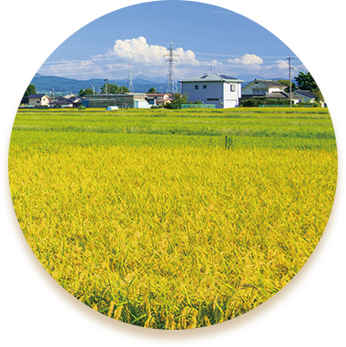 産地こだわりのお米、野菜